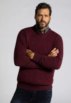 JP1880 Trui - Eggplant